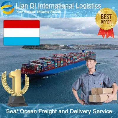 Fret maritime professionnel, transitaire maritime, service de livraison de la Chine au Luxembourg